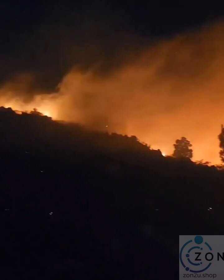 Kebakaran Hutan Di Argentina Mula Merebak Pantas