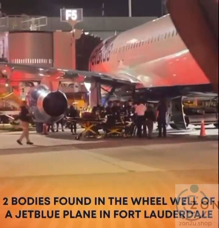 Dua Individu Ditemui Maut di Kompatmen Roda Pendaratan Pesawat JetBlue