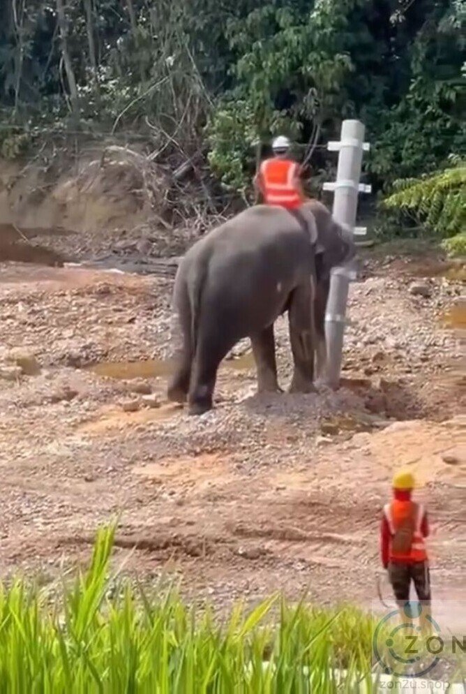 Ujian Ketahanan Reka Bentuk Pagar Gajah di Jajaran ECRL