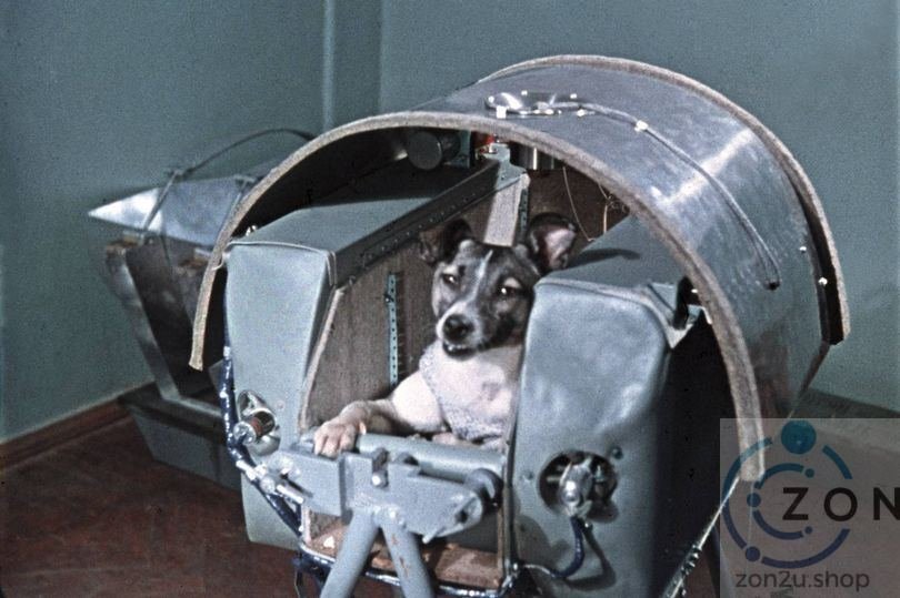LAIKA: MANGSA KEZALIMAN SAINS DAN TEKNOLOGI ANGKASA MOSCOW