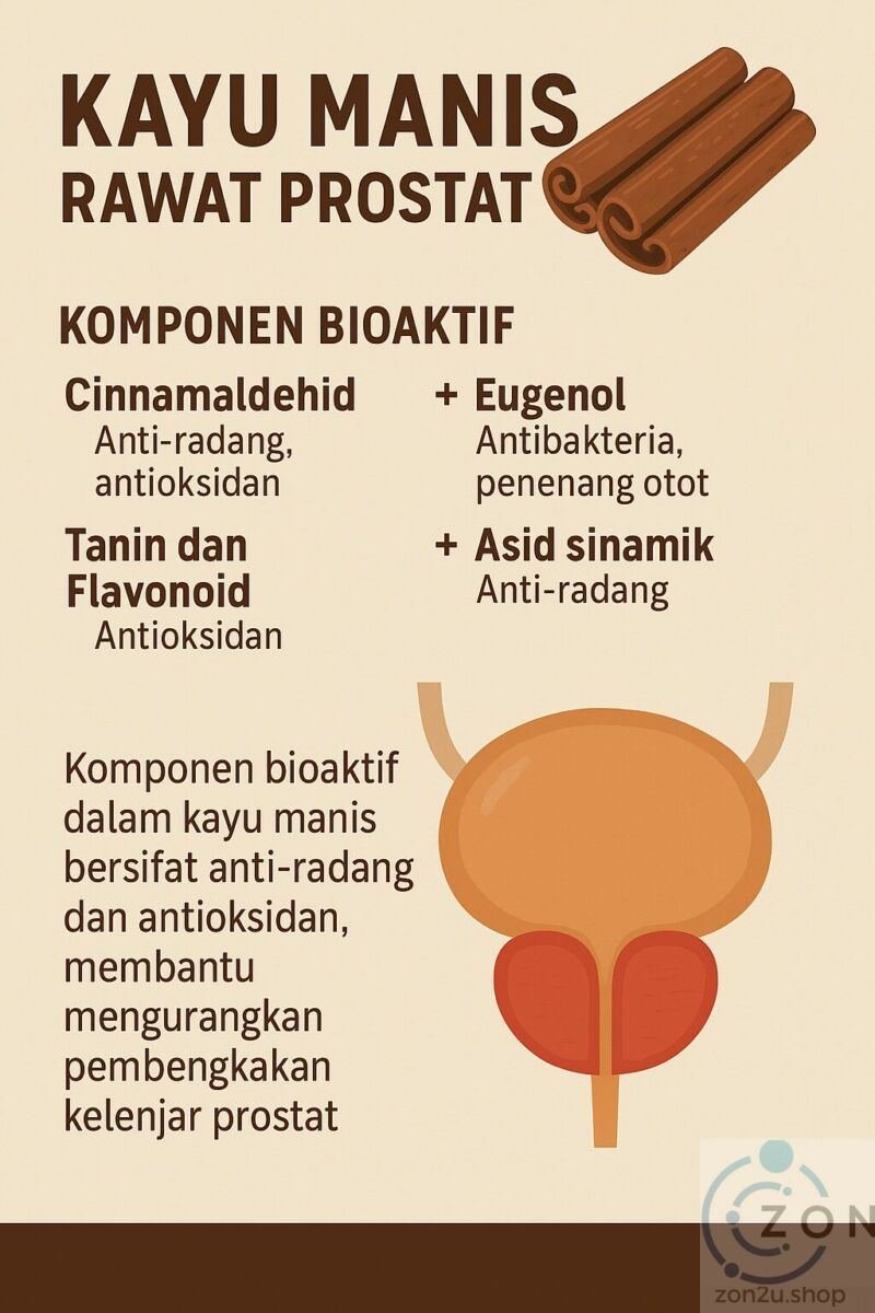 Masalah Kencing Menitis & Prostat