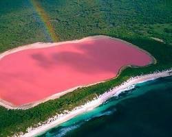 Danau Pink