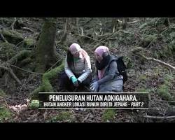 Hutan Aokigahara